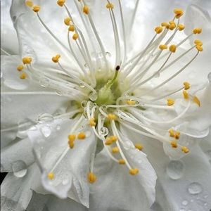 Meet your Posher, Amy louise